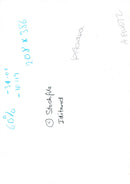 Husky - Vintage Photograph