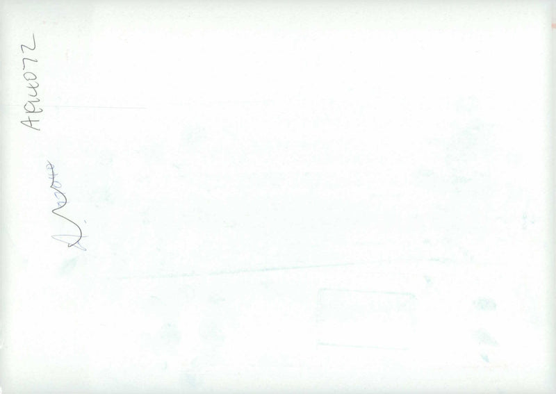 Husky (six dogs and their master) - Vintage Photograph