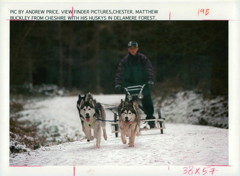 metthew buckly from cheshire with his huskies - Vintage Photograph