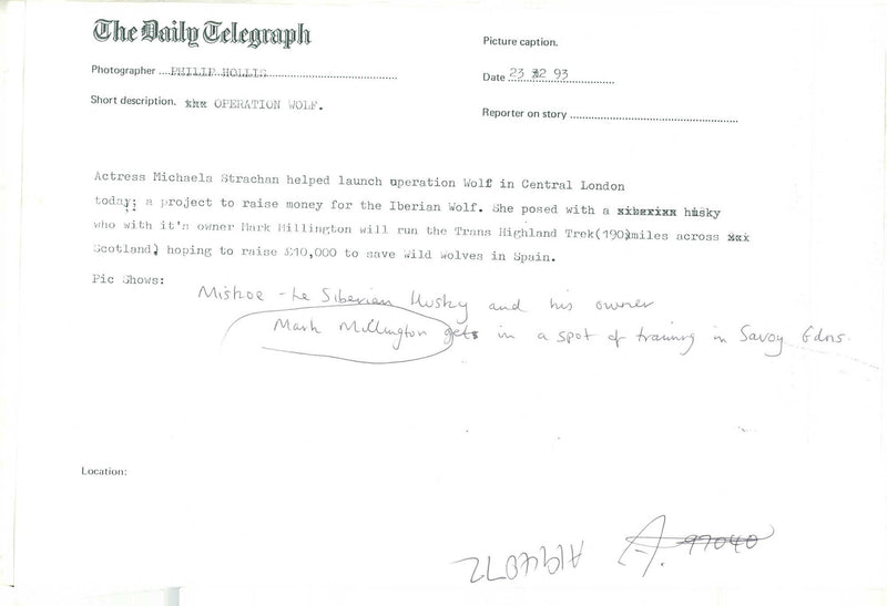 operation wolf - Vintage Photograph