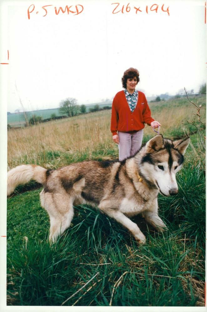 Marion bradbury with cancer victim turk - Vintage Photograph