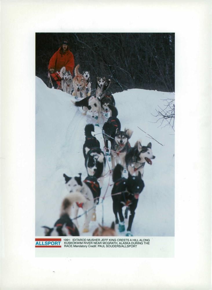 Husky - Vintage Photograph