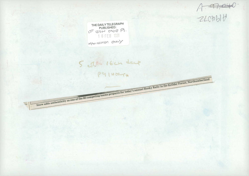 Husky (snow adds authenticity) - Vintage Photograph