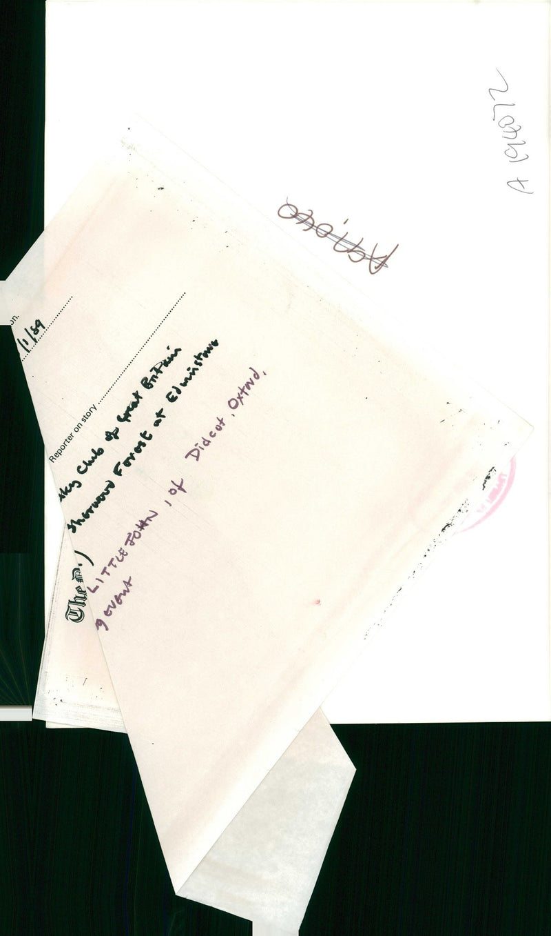 Husky - Vintage Photograph