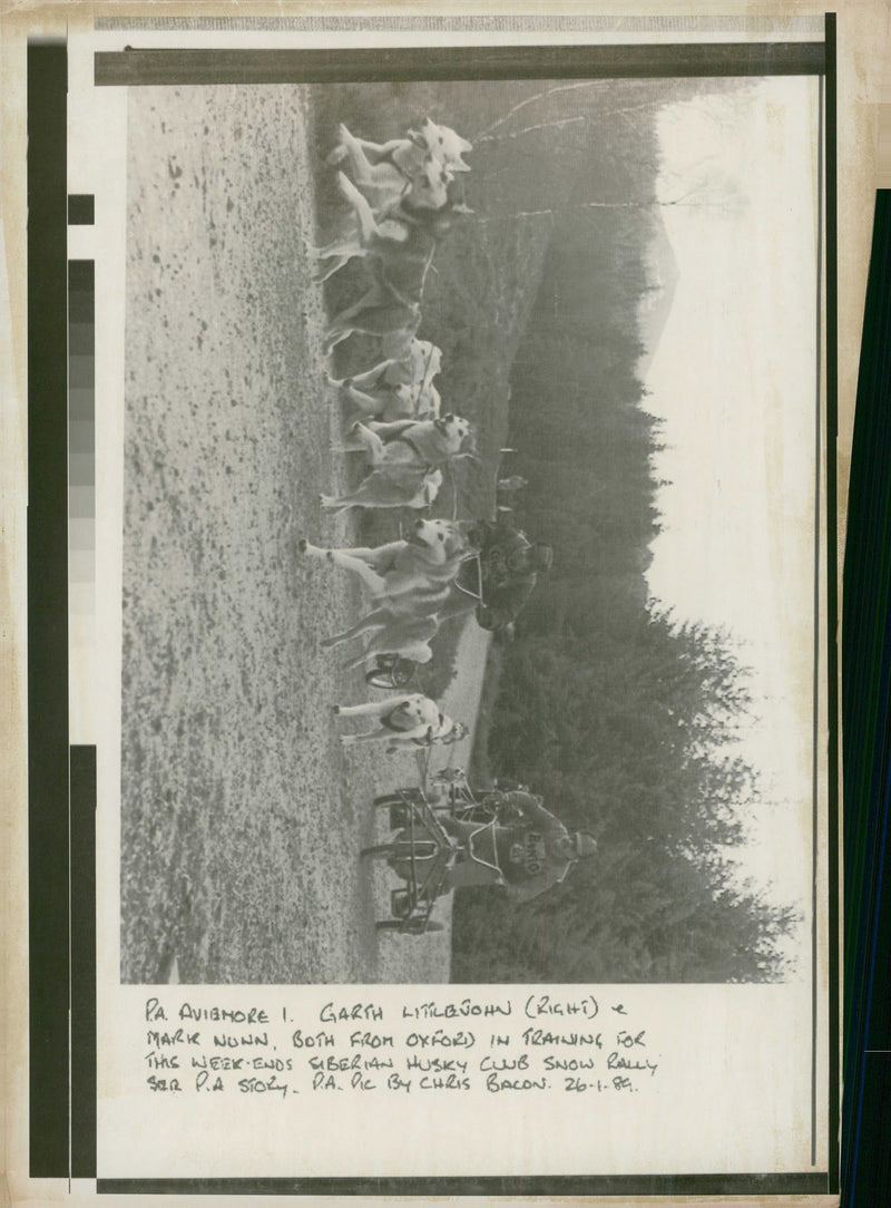 Husky - Vintage Photograph