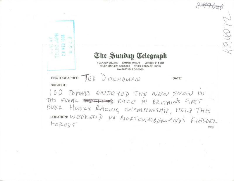 Husky - Vintage Photograph