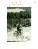 Husky - Vintage Photograph