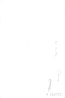 Husky - Vintage Photograph