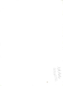 Husky - Vintage Photograph