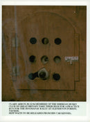 Husky - Vintage Photograph