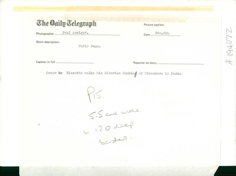 paris dog - Vintage Photograph