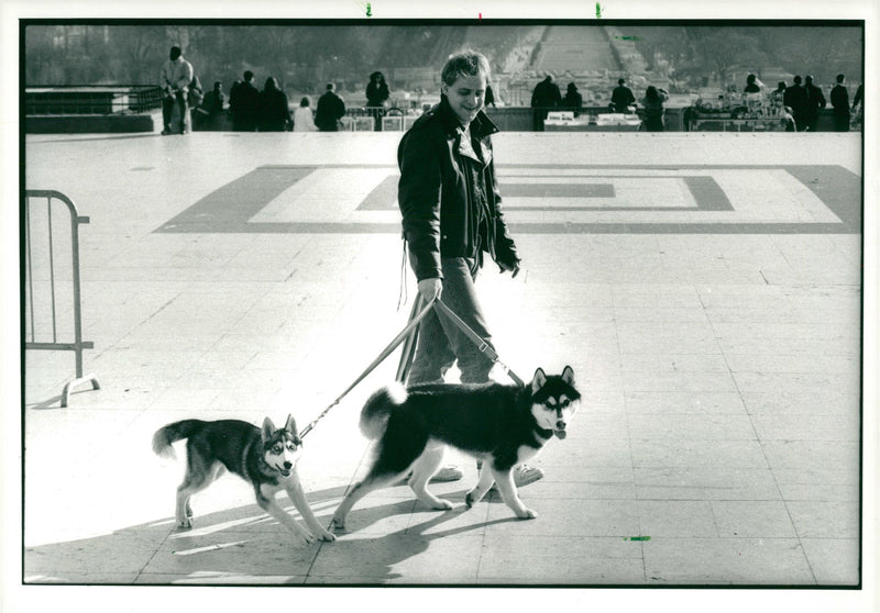 paris dog - Vintage Photograph