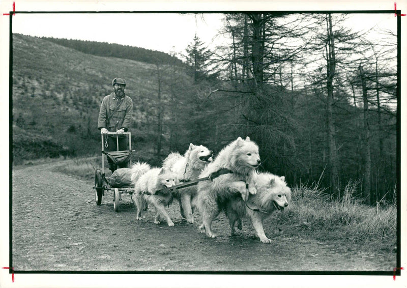 noel hulmston practising welsh - Vintage Photograph
