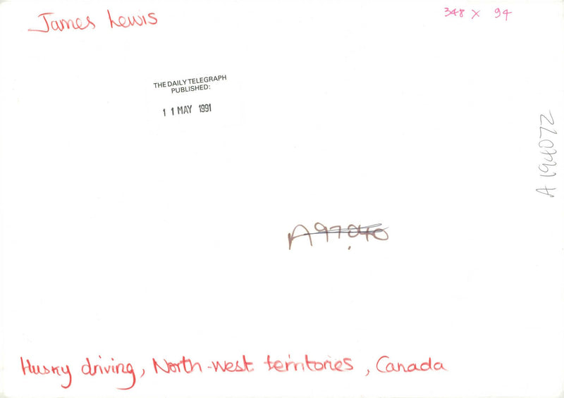 Husky - Vintage Photograph