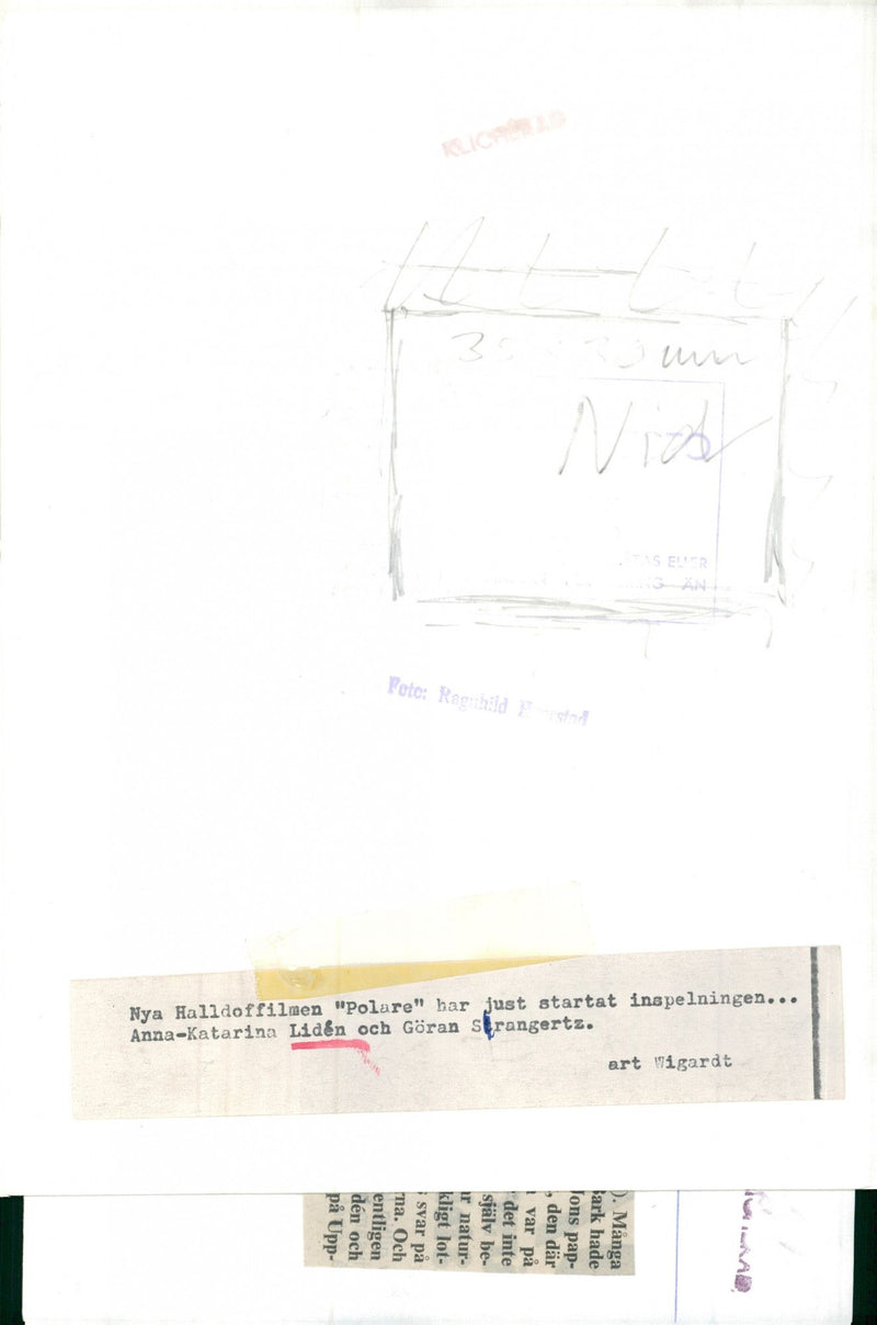 HAS STARTED SOLY TONS JUST WIGARDT MANGA NATURE AND FARK ANSWER RAGNHILDST - Vintage Photograph