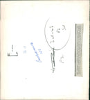 Queen Elizabeth 2 Ship - Vintage Photograph