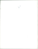 Queen Elizabeth 2 Ship - Vintage Photograph