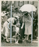 Queen Elizabeth - Vintage Photograph