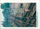 British Rail - Vintage Photograph