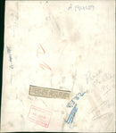 Hungarian Revolution of 1956 War - Vintage Photograph