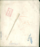 Hungarian Revolution of 1956 War - Vintage Photograph