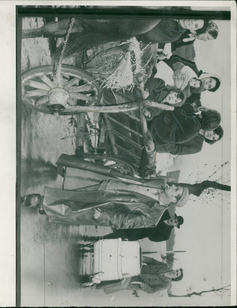 Hungarian Revolution of 1956 War - Vintage Photograph