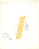 Duke and Duchess of of Devonshire. - Vintage Photograph