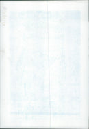 Mackendrick Mercedes - Vintage Photograph