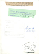 Scouts with Asiatic Elephant - Vintage Photograph