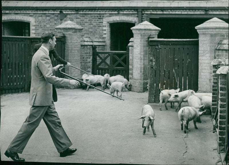 Elizabeth II - Vintage Photograph