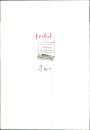 Bird: Kestrels - Vintage Photograph