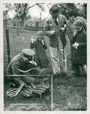 Emu - Vintage Photograph
