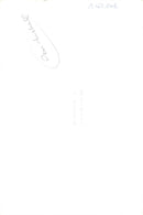 Dan Maskell receives an award from the Duchess of Kent - Vintage Photograph