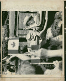 Queen Elizabeth The Queen Mother - Vintage Photograph