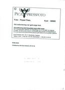 Kirsty Gunn författare - Vintage Photograph