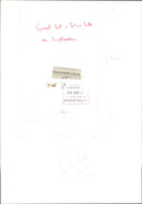 Bird: Tit - Vintage Photograph