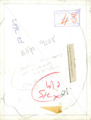 Osprey Bird - Vintage Photograph