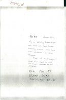 Cygnini Bird - Vintage Photograph