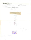 Cygnini Bird - Vintage Photograph