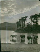 Keswick and Derwentwater - Vintage Photograph