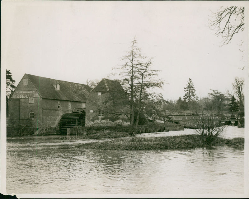 Cobham Old Mill - Vintage Photograph