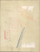 Penguin - Vintage Photograph