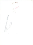 Penguin - Vintage Photograph