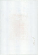 Penguin - Vintage Photograph