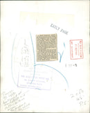 Penguin - Vintage Photograph