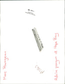 Penguin - Vintage Photograph