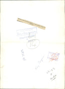 Penguin - Vintage Photograph