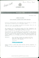 Penguin - Vintage Photograph