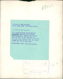 Penguin - Vintage Photograph