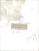 Penguin - Vintage Photograph